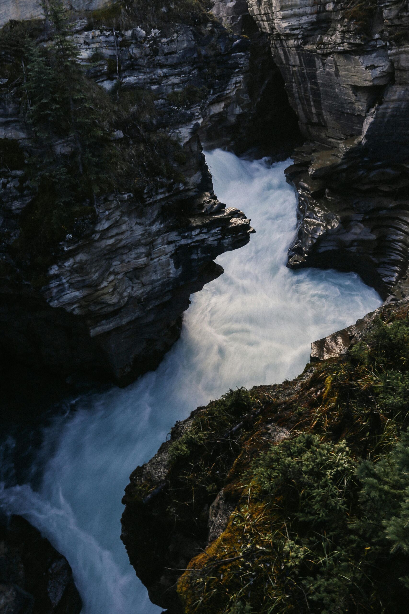 Cerebral Microvascular Disease