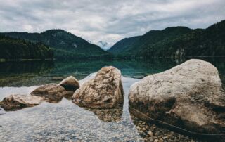 Natural Care for Fibroids